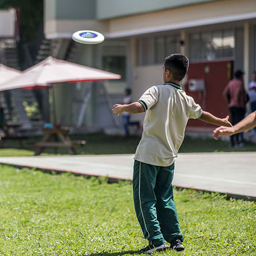 frisbee ultimate