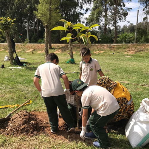 Educación Ambiental